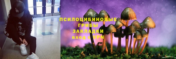 кокс Абаза