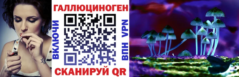 Псилоцибиновые грибы Psilocybine cubensis  даркнет сайт  Чита 