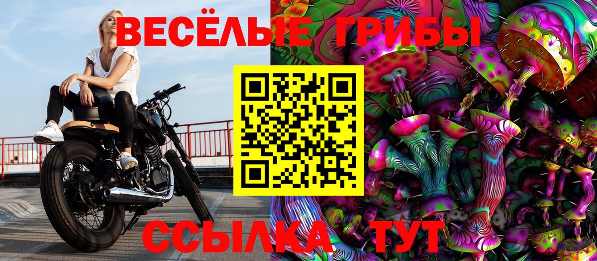 Галлюциногенные грибы ЛСД  Вход с VPN  Псилоцибиновые грибы GOLDEN TEACHER  Чита 