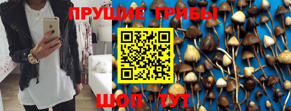 Псилоцибиновые грибы прущие грибы Чита